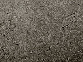 Sahara Beige 4444