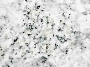 Oriantelwhiteindia | Granit Tezgah Fiyatlari Ankara