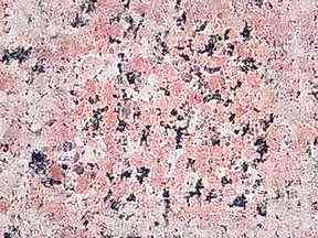 Rosypinkindia Granit | Mutfak Tezgahi Fiyatlari Ankara